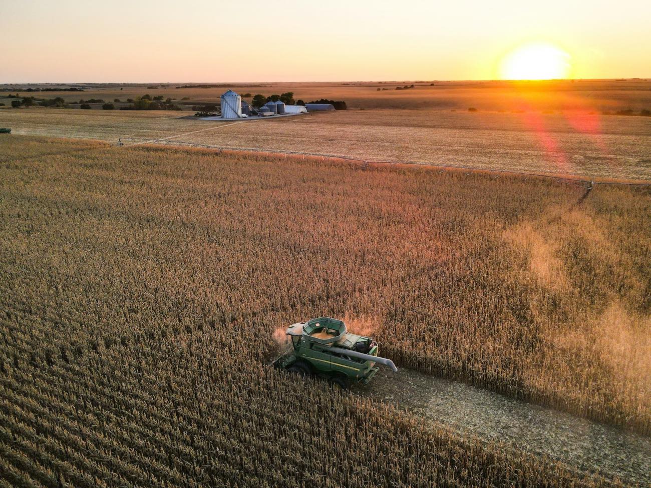 Combine harvesting corn at sunset, grain bins on the horizon